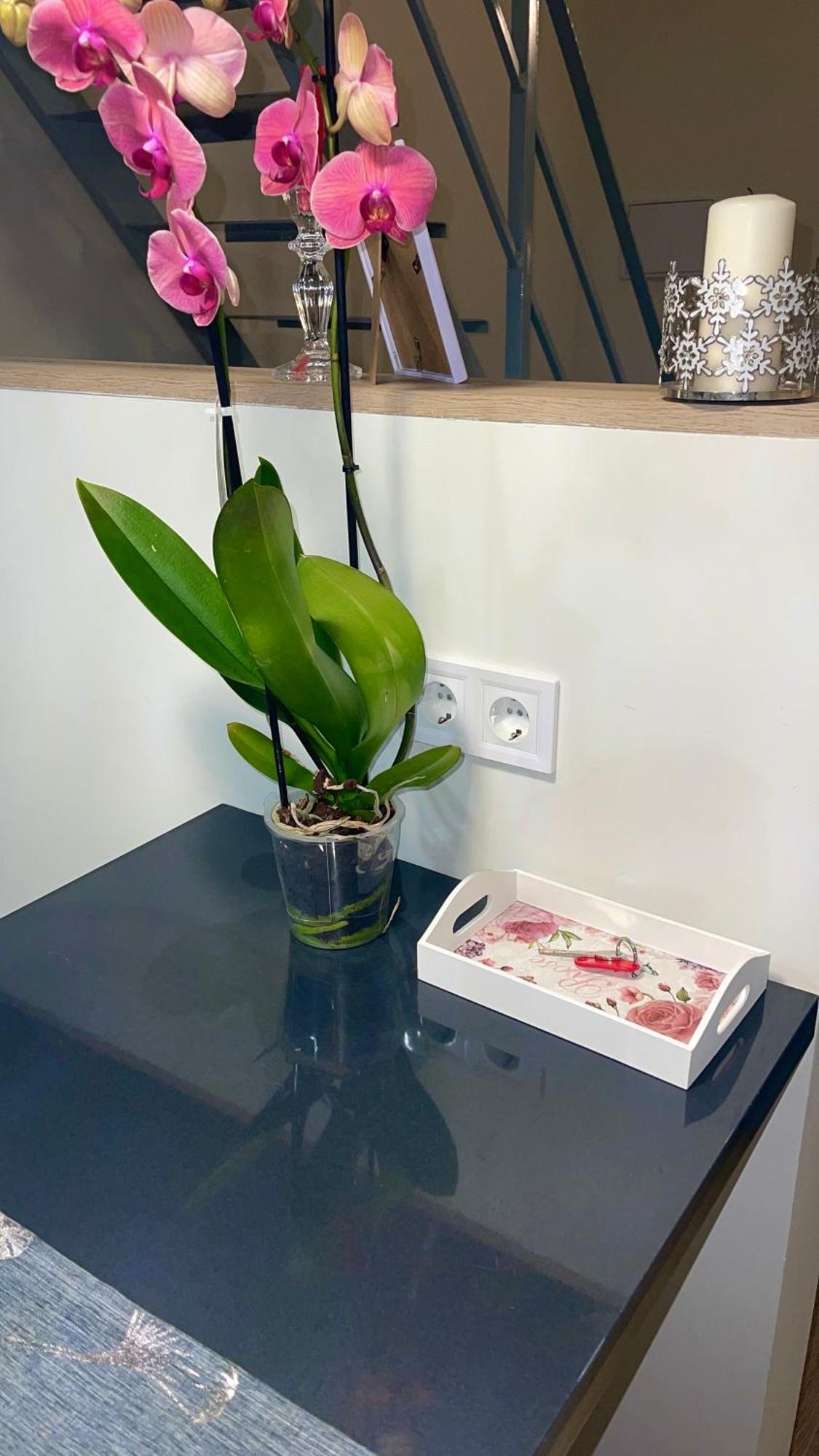 Madrid Centro II Apartment Екстериор снимка